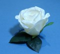 Róża 5