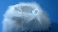 DSC07763.JPG