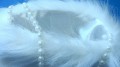 DSC07765.JPG